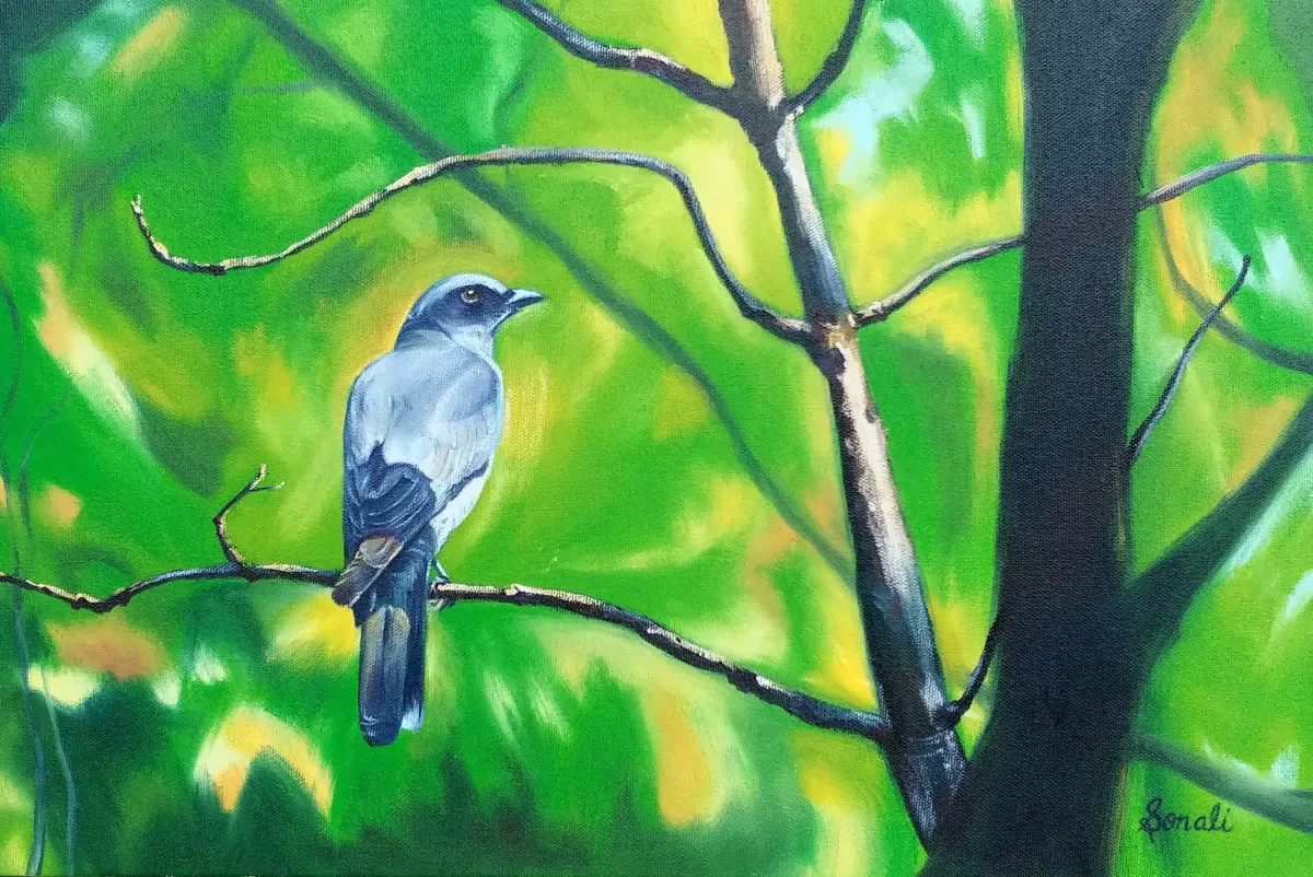 The Cuckooshrike in Kanha Painting