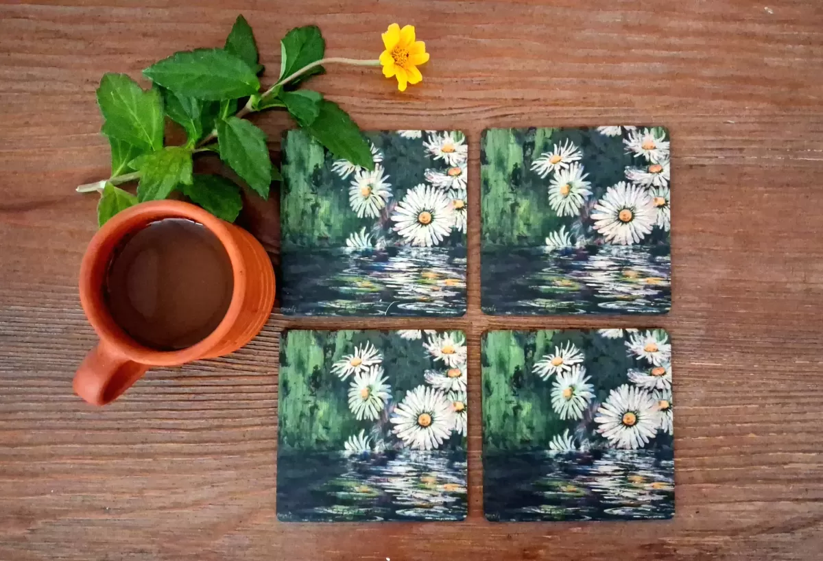 The Daisy Reflections