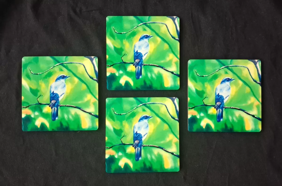 The Cuckooshrike in Kanha (Premium Tea Coasters) 
