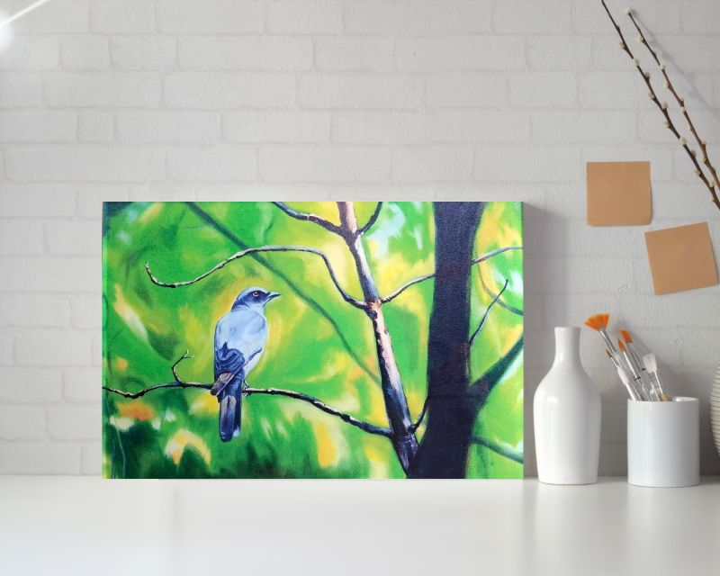 The Cuckooshrike in Kanha