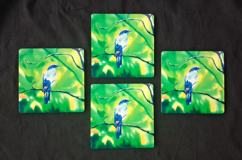 The Cuckooshrike in Kanha (Premium Tea Coasters) 