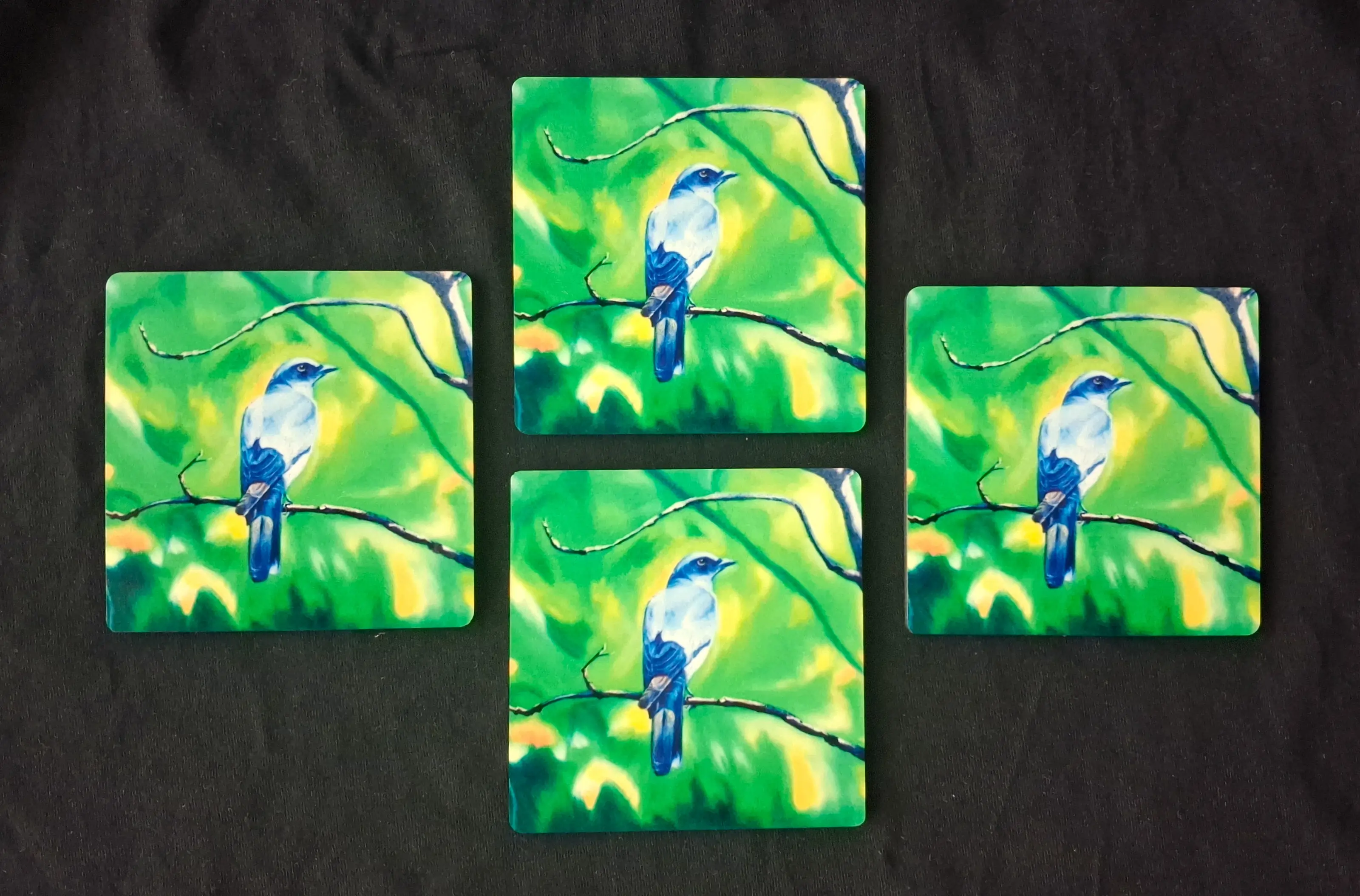 The Cuckooshrike in Kanha (Premium Tea Coasters) 
