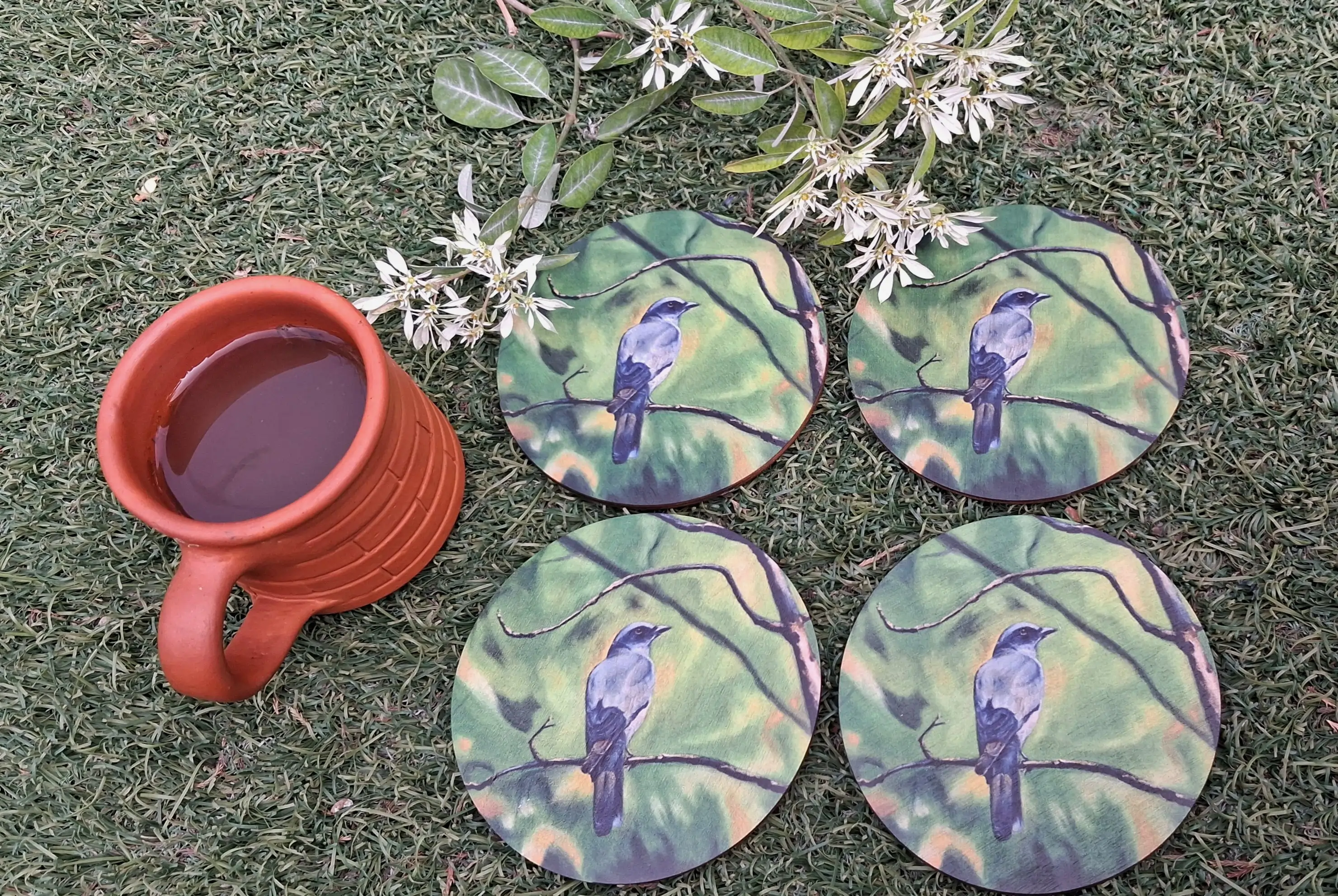 The Cuckooshrike in Kanha  (Round shape)